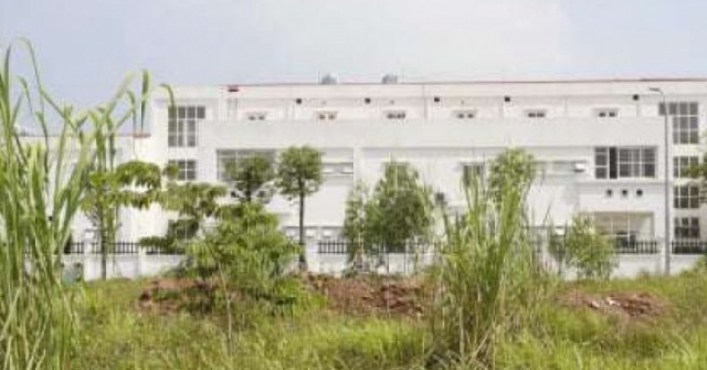 Khu đất đấu giá từng gây sốc ở Hà Nội sau gần 2 năm: Biển quảng cáo mất hút, cỏ mọc lút đầu người
