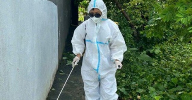 Bé gái 14 tuổi tại Thanh Hóa tử vong do viêm não Nhật Bản