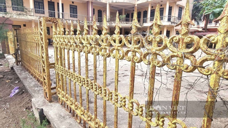 Thực hư chuyện đổi tên Quất Lâm - nơi từng là "thiên đường sung sướng", hiện "vắng như chùa Bà Đanh" - 17