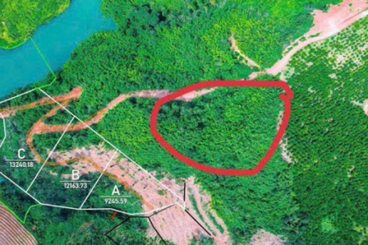 Tin vui cho người mua "đất giấy tay" trước 2024