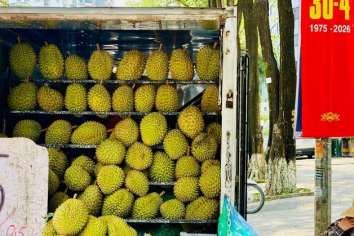 Loạn giá sầu riêng, nơi bán vài chục nghìn, nơi lên tới hàng trăm nghìn một kg