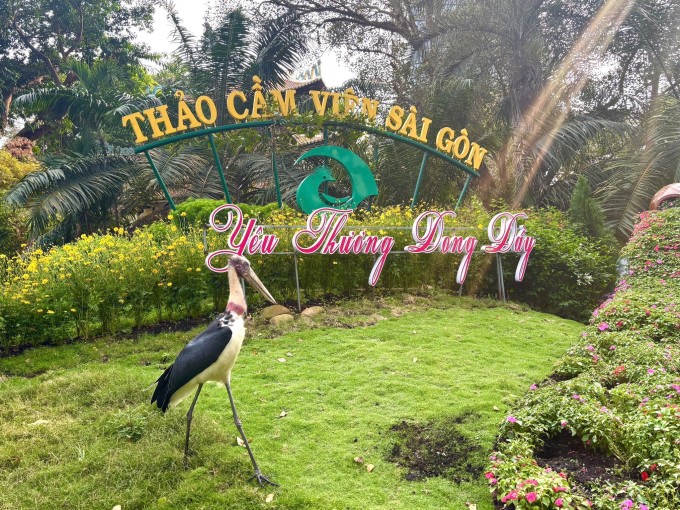 Chim già đẫy lang thang quanh khuôn viên sở thú. Ảnh: Thảo Cầm Viên Sài Gòn