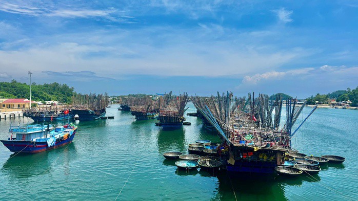 Tàu câu mực ngư dân xã Bình Sơn, tỉnh Quảng Ngãi