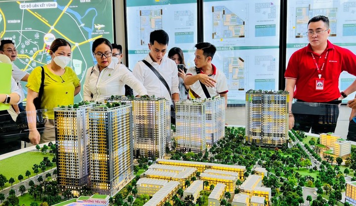 Cò nhà đất bán giá ảo hết 'đất sống' - 2