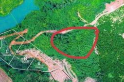 Tin vui cho người mua "đất giấy tay" trước 2024