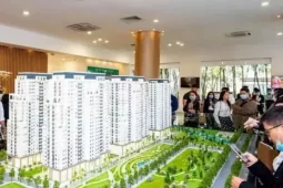 Quy định đánh đố, nghịch lý 'cải lùi' giữa thời đại số hóa toàn diện
