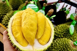 Sầu riêng 50.000 đồng/kg vẫn khó bán, loại nửa triệu đồng/kg lại ‘cháy hàng’