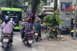 Bất ngờ trước giá tòa chung cư mini trục đường Hoàng Hoa Thám, Hà Nội khi tuyến đường sắt đô thị số 5 khởi động
