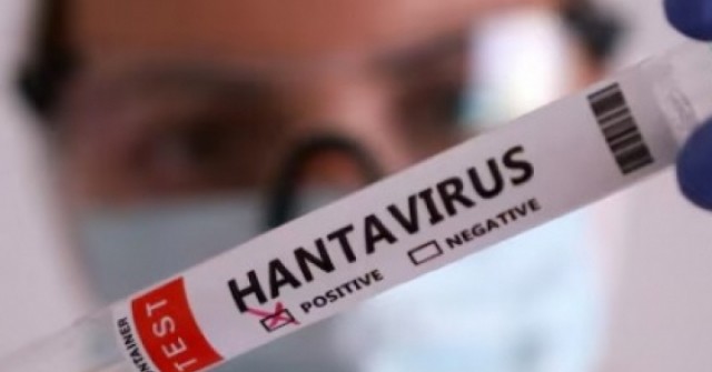 WHO cảnh báo về ổ dịch virus Hanta trên tàu du lịch