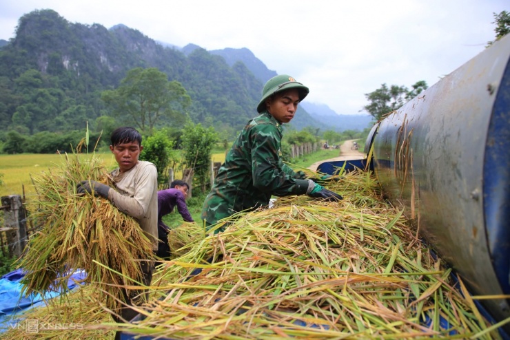 Tộc người bí ẩn nhất Việt Nam thu hoạch lúa nước - 8