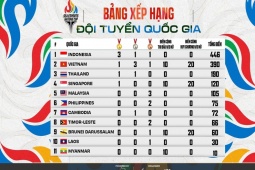 Giải eSports Đông Nam Á cấp độ đội tuyển quốc gia: Việt Nam top 2, sau Indonesia