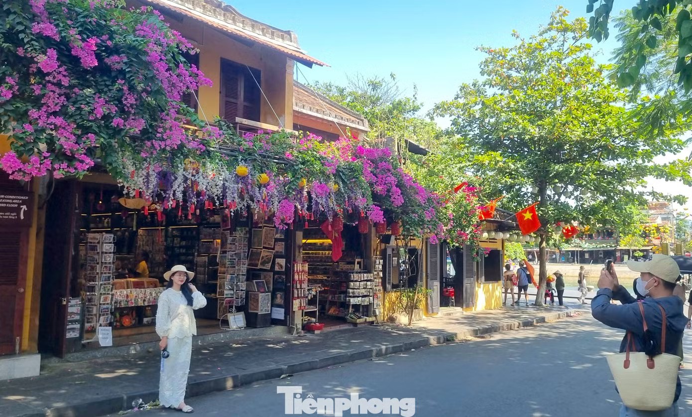 Tại nhiều con phố như Trần Phú, Lê Lợi, Châu Thượng Văn, đường Bạch Đằng ven sông Hoài, hoa giấy nở dày thành từng chùm lớn, buông rủ trước hiên nhà và quán cà phê. Dưới nắng đầu hè, sắc đỏ càng trở nên nổi bật, tạo nên những góc hình đậm chất thơ của phố cổ.