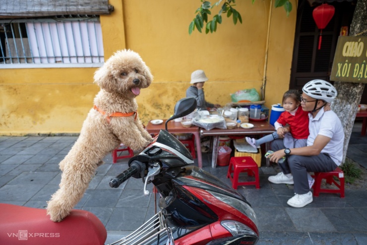 Hàng quán tại Hội An thường mở cửa sau 8h do chủ yếu phục vụ khách du lịch. Một số ít quán chuyên bán cho người địa phương mở từ 5h và đóng trước giờ trưa. Các món sáng phổ biến gồm mì Quảng, cao lầu, xôi và bánh mì, giá 25.000-40.000 đồng.