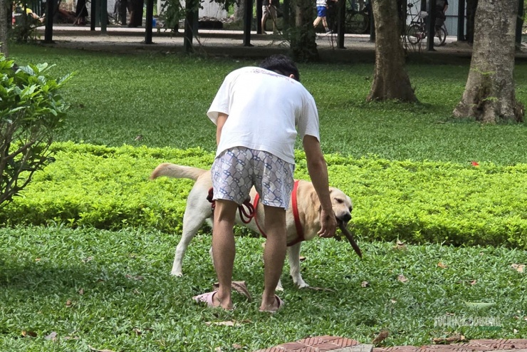 Người dân mong muốn lực lượng chức năng tăng cường kiểm tra, xử lý vi phạm.
