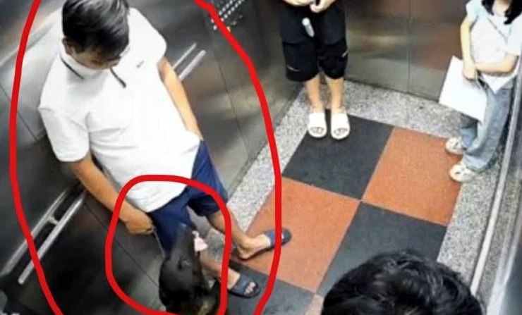 Hình ảnh người đàn ông đưa chó vào thanh máy không rọ mõm. Ảnh: Cư dân Đại Thanh cung cấp