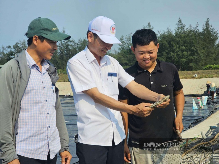 Nuôi cá kình (nuôi cá dìa) hiệu quả giúp nông dân xã Mỹ Thủy, tỉnh Quảng Trị có thu nhập cao. Ảnh: N.V