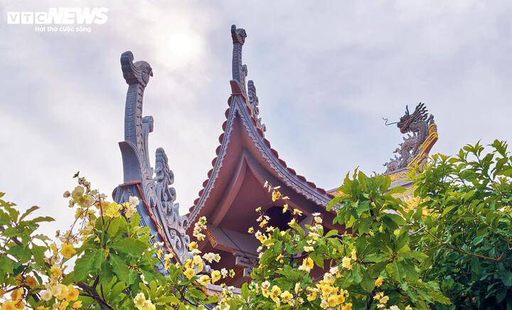 Kỳ bí 12 dòng cổ tự phía sau tượng Phật Lồi trong ngôi chùa ở Gia Lai - 7