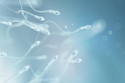 Tinh dịch loãng có gây vô sinh không?