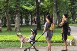 Dạo công viên trong nỗi thấp thỏm vì chó không rọ mõm