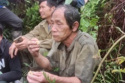 Tìm thấy người đàn ông lạc trong rừng sau 4 ngày
