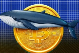 'Cá voi' Bitcoin trị giá 40 tỷ USD thức giấc