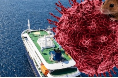 Virus Hanta dễ nhầm với cúm thông thường nhưng có thể chuyển nặng rất nhanh