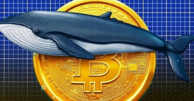 "Cá voi" Bitcoin trị giá 40 tỷ USD thức giấc