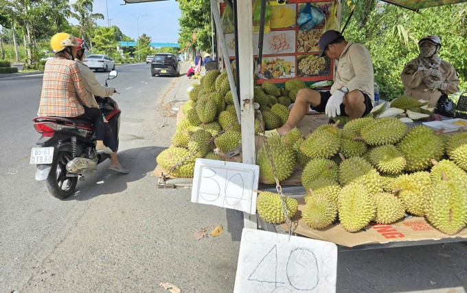 Một điểm bán sầu riêng ở đường Nguyễn Văn Cừ, TP Cần Thơ. Ảnh: An Bình