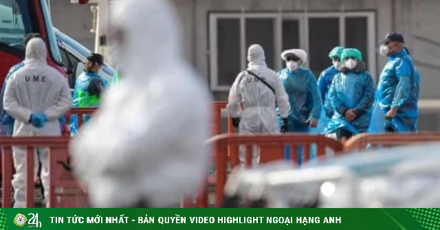Hà Lan cách ly nhân viên y tế nghi phơi nhiễm, Pháp phát hiện ca Hantavirus đầu tiên