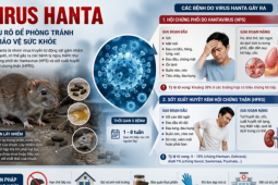 Virus Hanta gây bệnh gì?