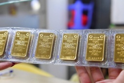 SJC lãi kỷ lục dù doanh thu thấp nhất 10 năm