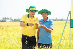 Phân Bón Cà Mau kịp thời hỗ trợ nhà nông vượt khó