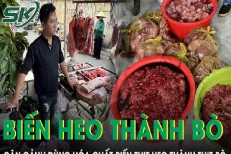 Cận cảnh quy trình dùng hóa chất 'biến' 65 tấn thịt heo thành thịt bò ở TP.HCM