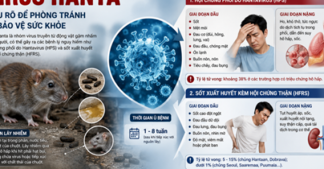Virus Hanta gây bệnh gì?