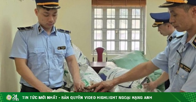 Tình tiết mới vụ truy giấy tờ 80kg xác ve sầu: Xác minh chữ ký mua bán xác ve