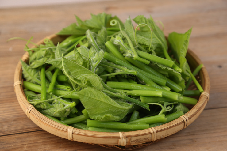 Loại rau mùa hè giòn ngọt, giúp thanh nhiệt phổi, thúc đẩy nhu động ruột, hỗ trợ giảm cân cực tốt - 1