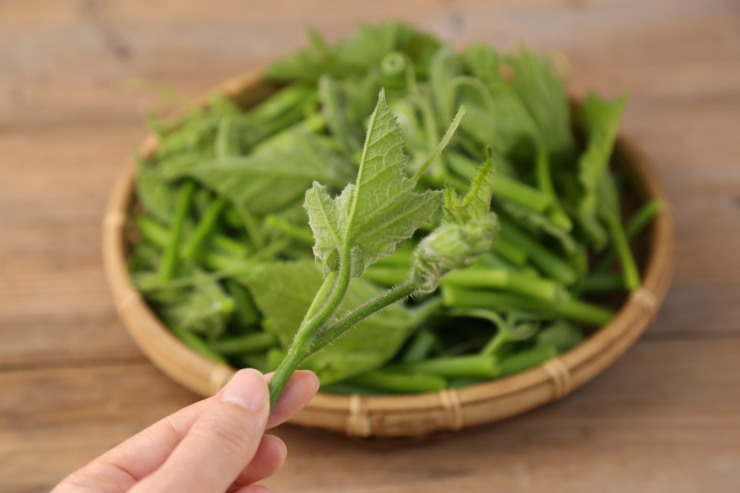 Loại rau mùa hè giòn ngọt, giúp thanh nhiệt phổi, thúc đẩy nhu động ruột, hỗ trợ giảm cân cực tốt - 4