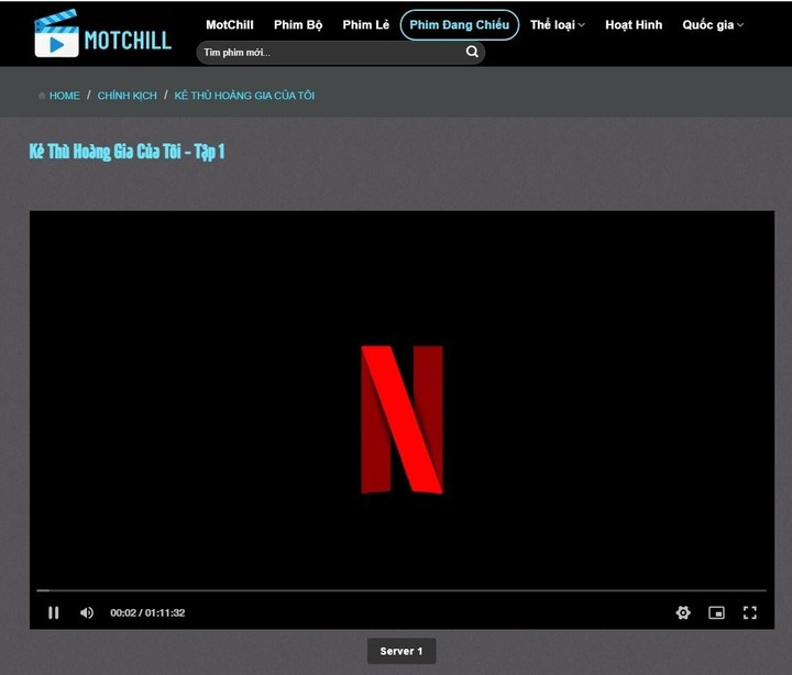 Đoạn mở đầu của nền tảng xem phim Netflix trong video trên web lậu. (Ảnh màn hình)