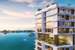 Vì sao không nên bỏ lỡ căn hộ Thanh Long tại trung tâm Cát Bà?