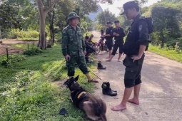 Nghi phạm sát hại vợ cũ treo cổ tự tử trong lán rẫy sau lời nhắn 'nguyện chết cùng ngày' trên Facebook