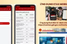Hơn 95% hồ sơ hoàn thuế tự động, vì sao tiền chưa về tài khoản?
