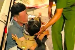 Thai phụ tử vong tại chỗ sau ngã xe trên đường tránh Huế