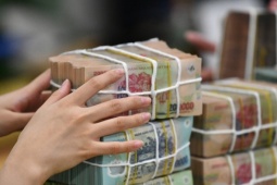 Thế chấp nhiều sổ đỏ vay 3,4 tỷ nuôi gà vịt, vợ chồng phải trả hơn 4,2 tỷ đồng