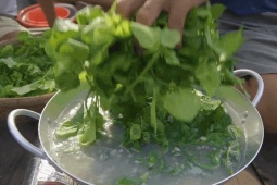 Sản vật không tốn tiền mua ở miền Tây, nấu canh ăn ngon lại mát