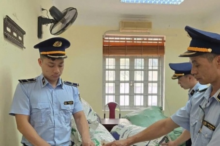 Thông tin mới vụ 80kg xác ve sầu khô bị tạm giữ ở Lạng Sơn