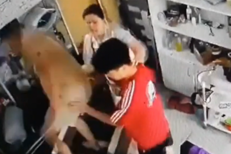Công an vào cuộc vụ người phụ nữ ôm trẻ nhỏ bị hành hung liên tiếp ở Hà Nội
