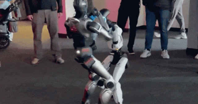Màn đấu võ của hai robot hình người gây sốt