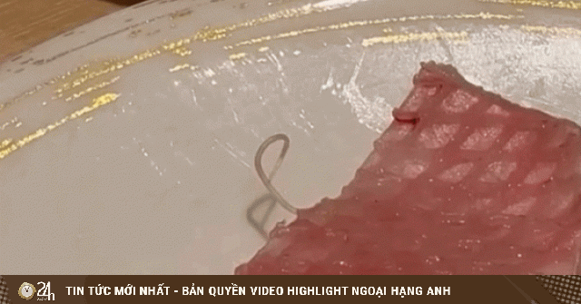 Khách phát hiện ký sinh trùng ngoe nguẩy trong miếng sashimi