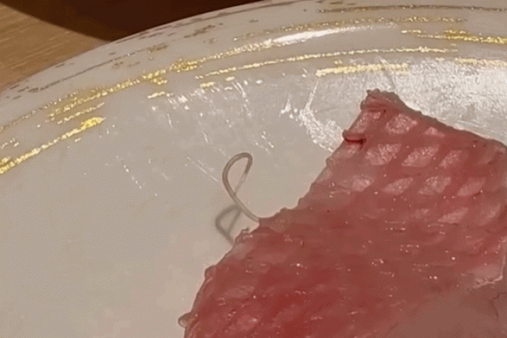 Khách phát hiện ký sinh trùng ngoe nguẩy trong miếng sashimi