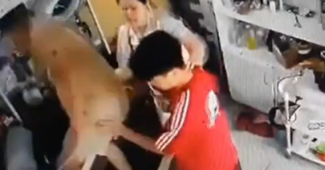 Công an vào cuộc vụ người phụ nữ ôm trẻ nhỏ bị hành hung liên tiếp ở Hà Nội
